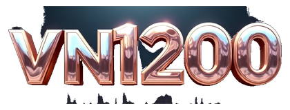 vn1200 logo